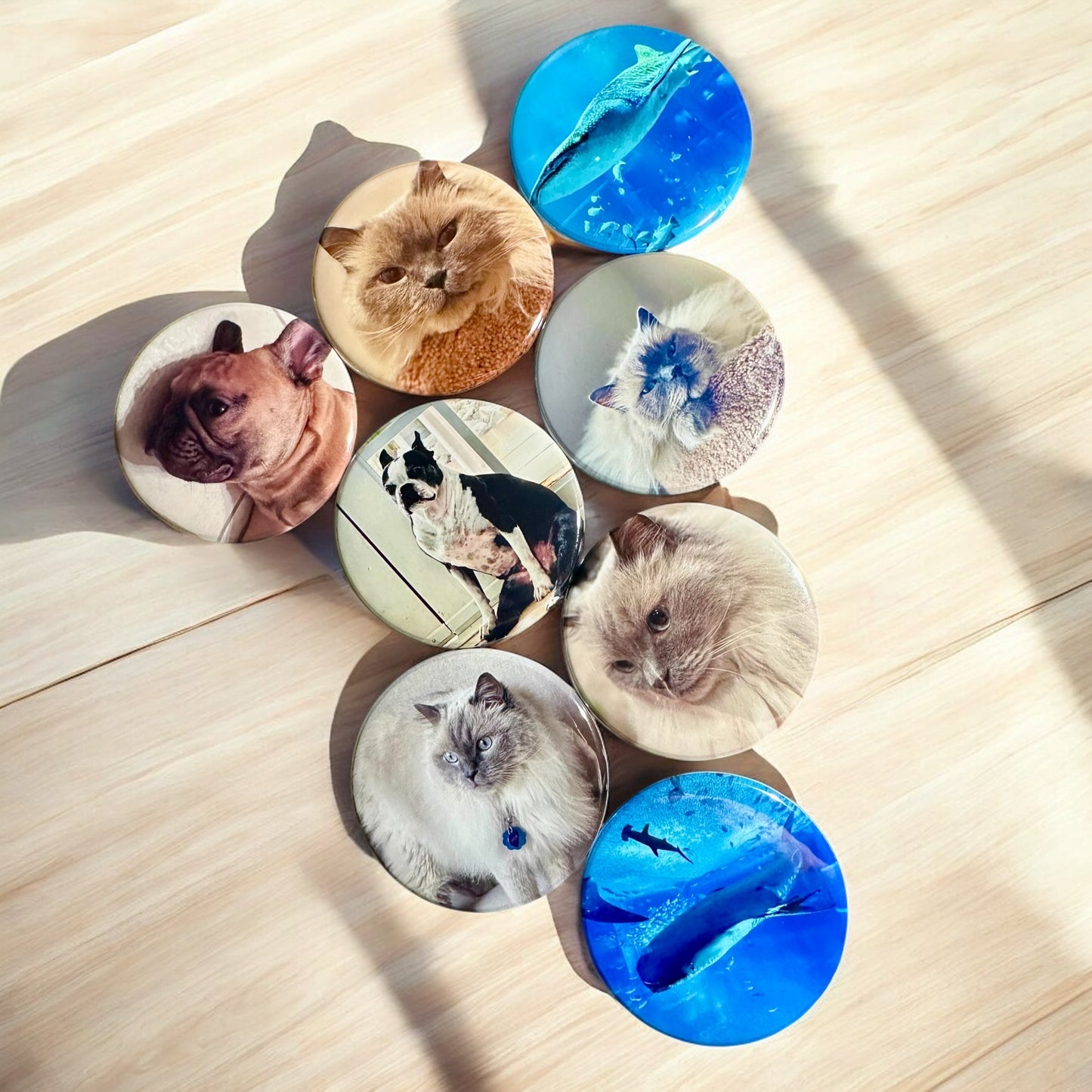 Personalized custom photo magnets displayed on a refrigerator door, featuring various family photos, travel snapshots, and pet pictures, each printed on round magnets with a glossy finish.
