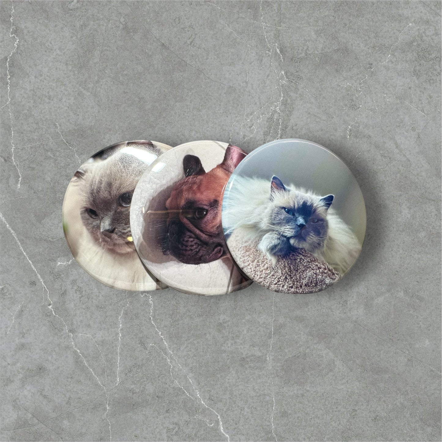 Personalized custom photo magnets displayed on a refrigerator door, featuring various family photos, travel snapshots, and pet pictures, each printed on round magnets with a glossy finish.