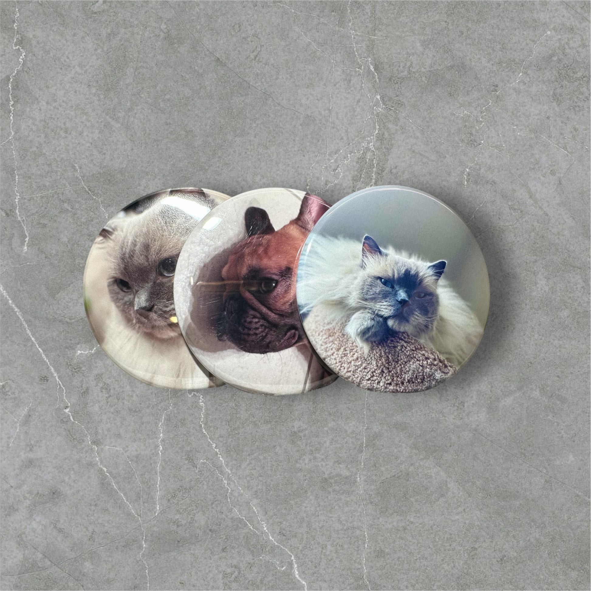 Personalized custom photo magnets displayed on a refrigerator door, featuring various family photos, travel snapshots, and pet pictures, each printed on round magnets with a glossy finish.